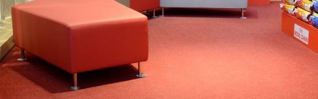 velour excel carpet tiles - pet shop
