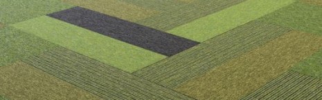 tivoli carpet planks studio